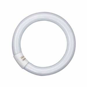 G10q 22W 840 Lumilux T9C fluorescenční kruh