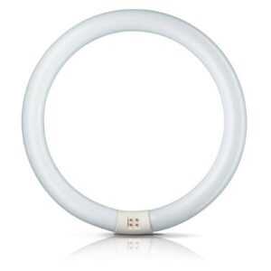 G10q 40W 840 světelný kruh Master Circular TL-E