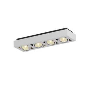 LED stropní osvětlení Ronka 4zdrojové dlouhé