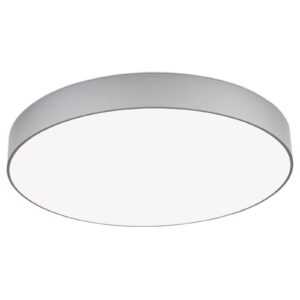Stmívatelné LED stropní svítidlo Egilo - 60 cm